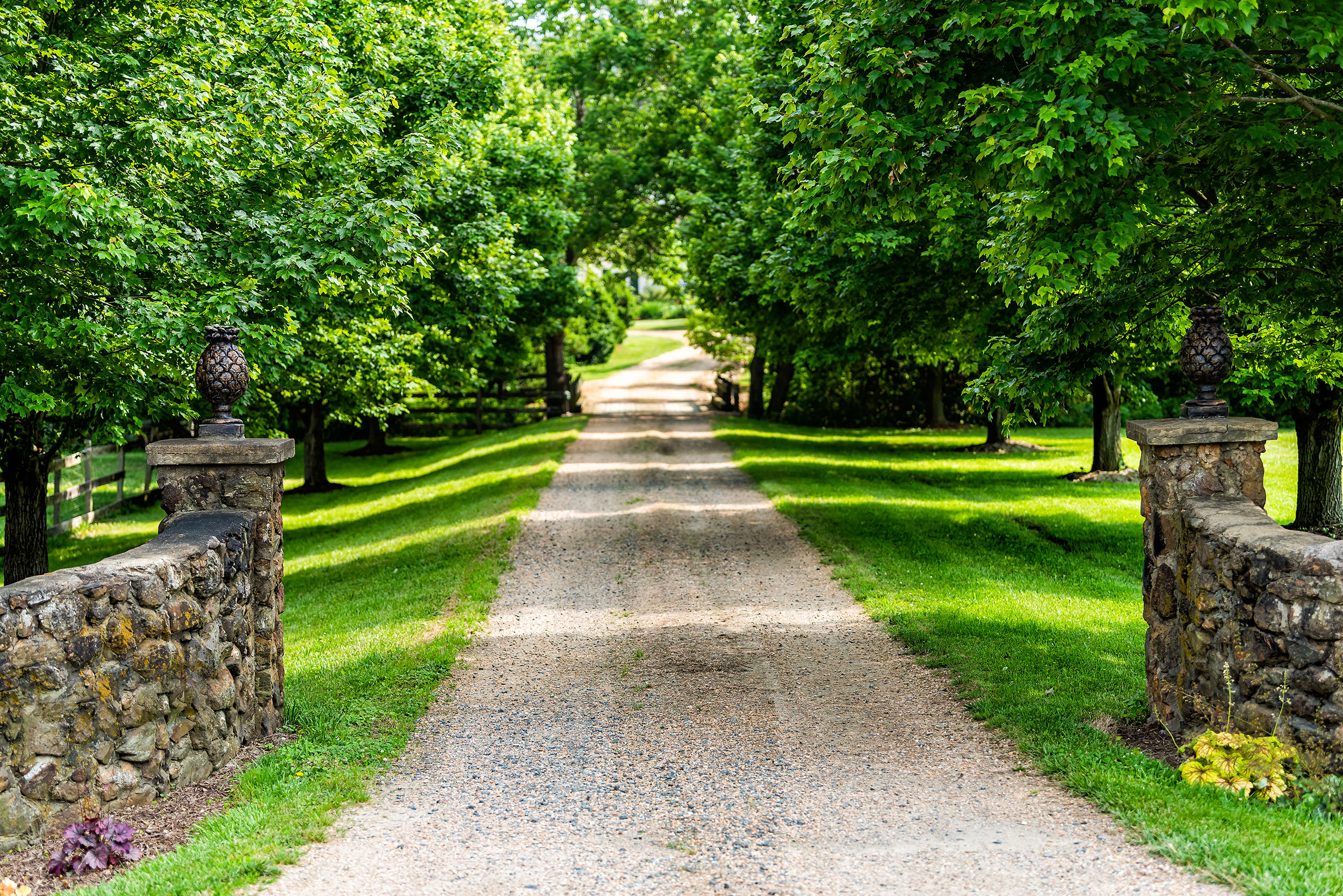 Driveway-LR